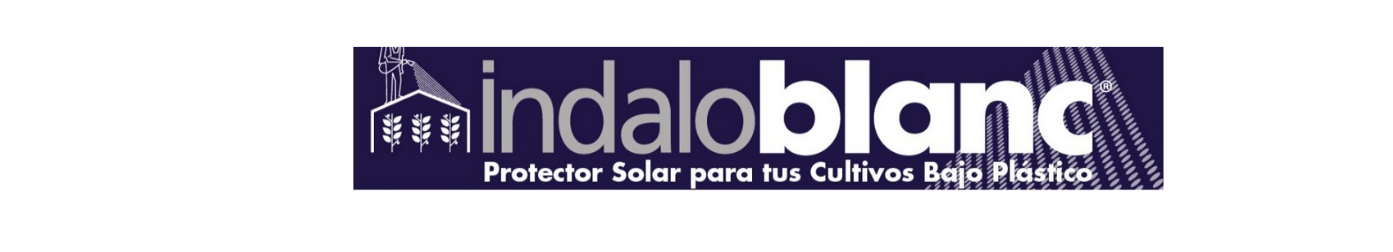 Publicidad Mintonette